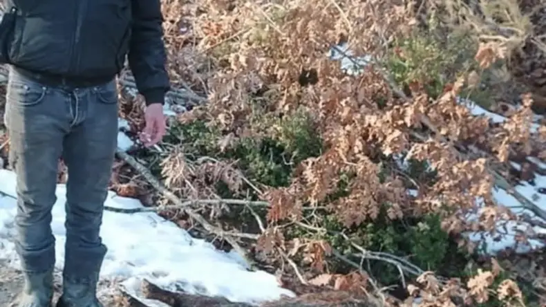 Av Dönüşü Tüfekten Çıkan Saçmalarla Genç Adam Hayatını Kaybetti