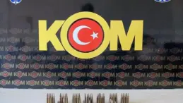 Mogan Gölü’nde Müsilaj Temizliği