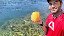 Vedat Avar, Su Altında Meyve Yedi