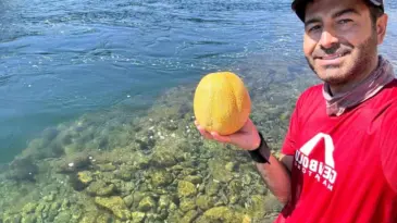 Vedat Avar, Su Altında Meyve Yedi