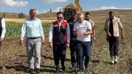 Gemerek’te İlk Pancar Hasadı Yapıldı