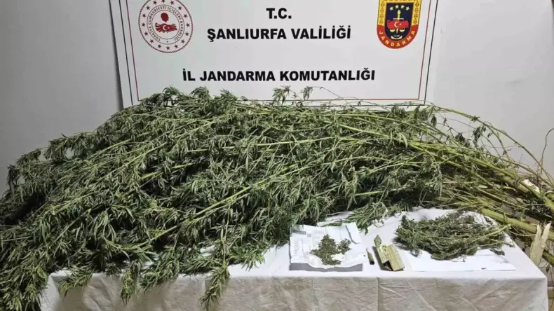 Şanlıurfa’da Uyuşturucu Operasyonu