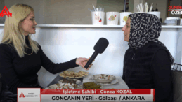 GONCANIN YERİ / GÖLBAŞI – ANKARA