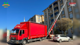 Sarıtaş Nakliyat: Profesyonel Taşımanın Adı