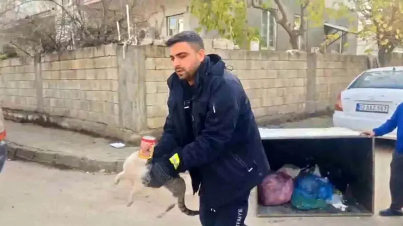 Konserve kutusuna sıkışan kedi kurtarıldı