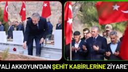 Vali Akkoyun’dan şehit kabirlerine ziyaret