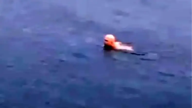 Mudanya’da Soğuk Havada Denize Giren Vatandaş Şaşırttı