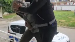 Seydişehir’de Uyuşturucu Operasyonu: 2 Tutuklama