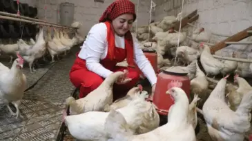 Pandemi sonrası doğal yaşama döndüler